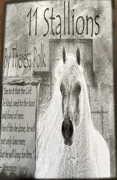 11 Stallions