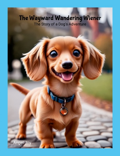 The Wayward Wandering Wiener