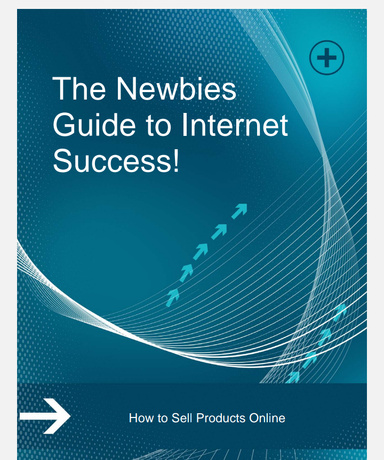 The Newbies  Guide to Internet  Success!