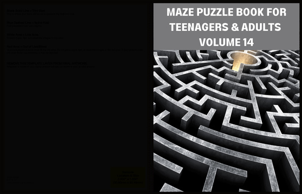 MAZE PUZZLE BOOK FOR TEENAGERS AND ADULTS VOLUME 14