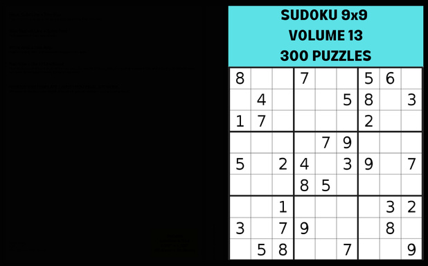 SUDOKU 9x9 VOLUME 13   300 PUZZLES : 375 PAGES