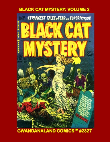 Black Cat Mystery: Volume 2