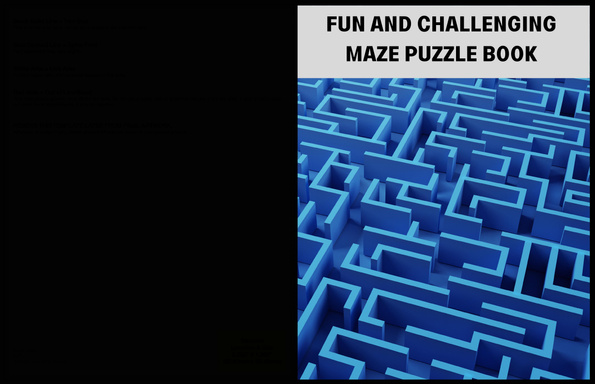 FUN  AND   CHALLENGING   MAZE PUZZLE BOOK