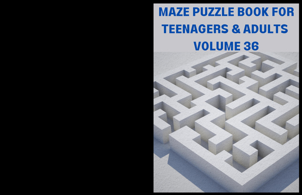 Maze Puzzle Book For Teenagers And Adults Volume 36