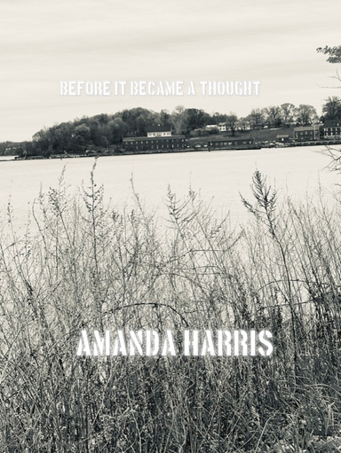 Before It Became a Thought
