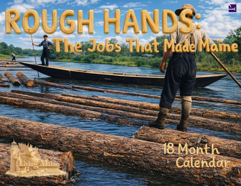 Rough Hand