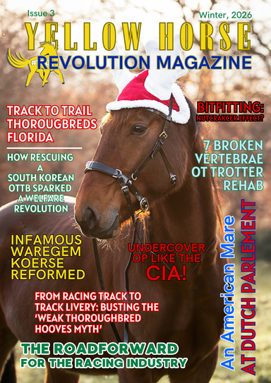 Yellow Horse Revolution Magazine - Issue 3