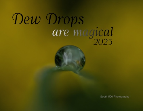 Dew Drops