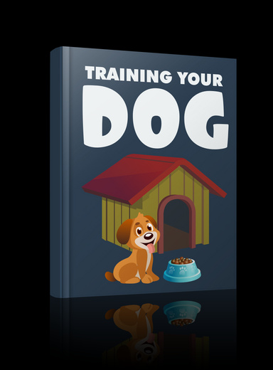 Training Your Dog