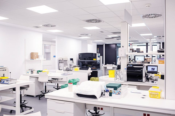 EXPERIENCES IN LABORATORIES