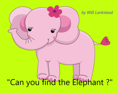 CAN YOU FIND THE ELEPHANT IN THE ROOM ?