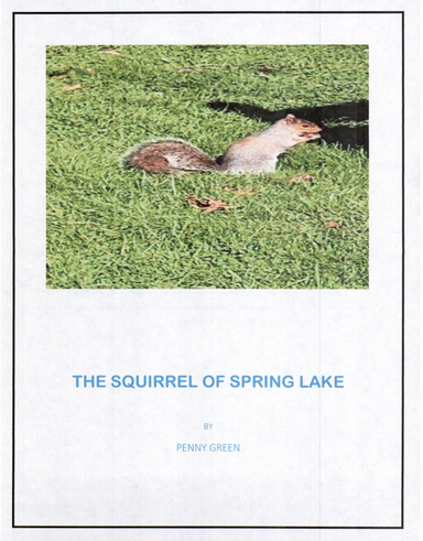 The Squirrel of  Spring Lake