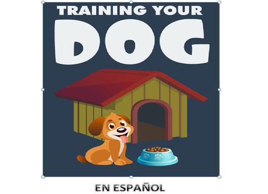 Training you dog