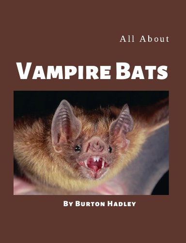All About Vampire Bats