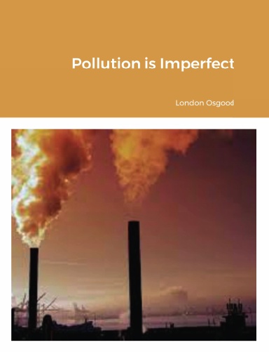 Pollution is Imperfect