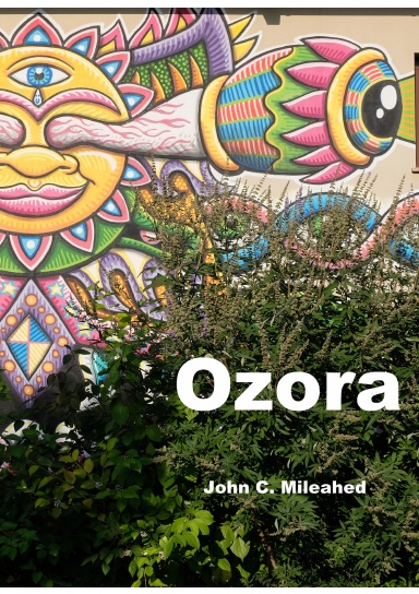 Ozora – Bilder und Erlebnisse