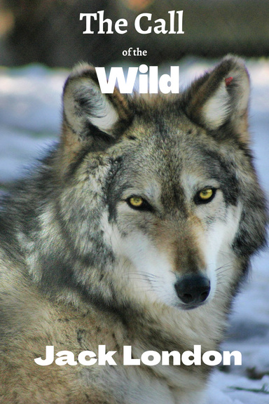 The Call of the Wild