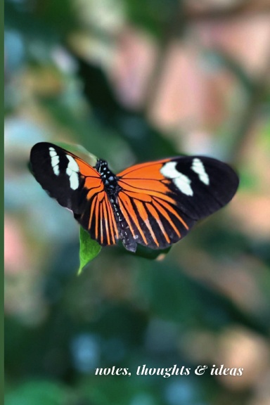 Summer Butterfly Notebook