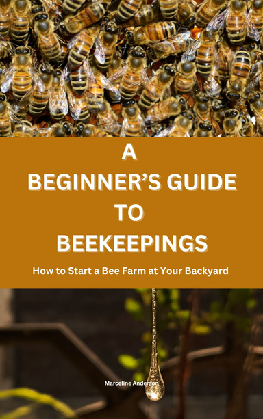 A Beginner’s Guide to Beekeepings