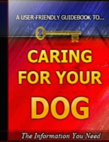 Caring For Your Dog