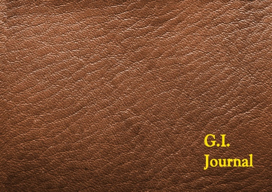 G.I.Journal
