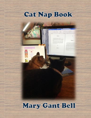 Cat Nap Book