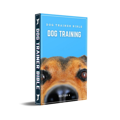 Dog Trainer Bible