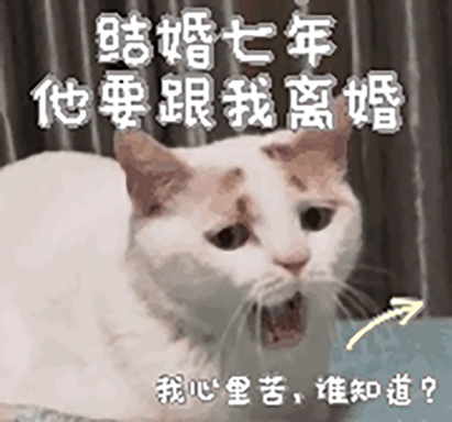 結婚七年他要跟我離婚