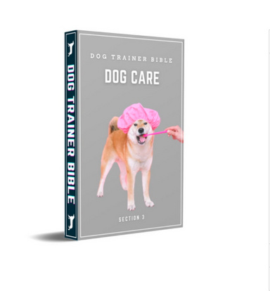 Dog Trainer Bible