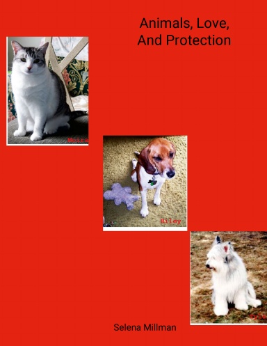 Animals, Love, And Protection