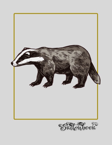 Badger Sketchbook