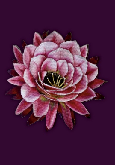 Notebook Journal - Lady Pink Bloom