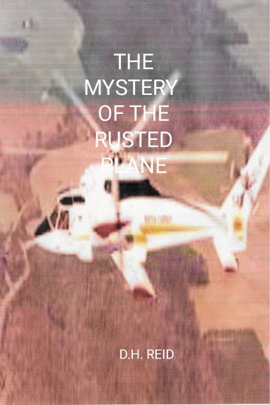 THE MYSTERY OF THE RUSTED PLANE