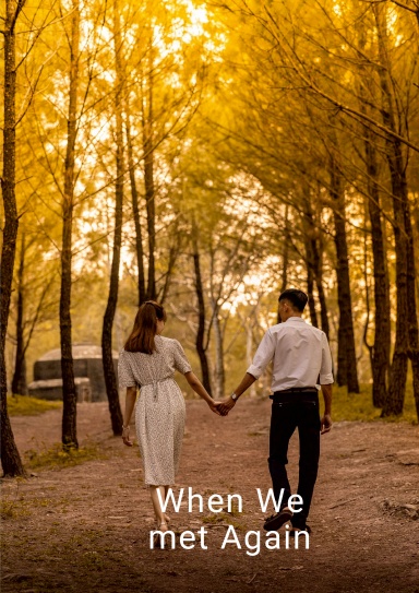 When we Met Again