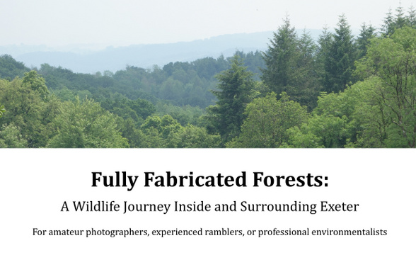 Fully Fabricated Forests