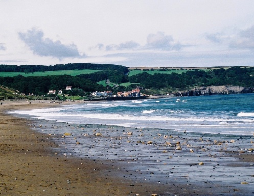 Fossiling Beach Walk Calendar 2026