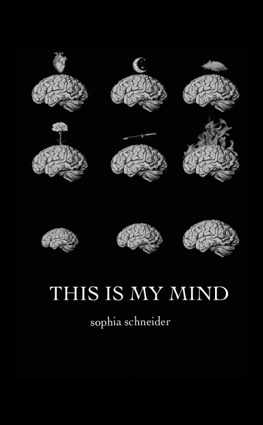 This is my mind.