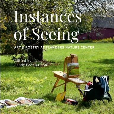 Instances of Seeing