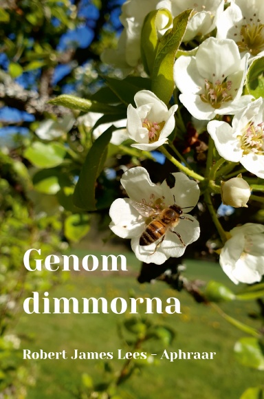 Genom dimmorna, Robert James Lees