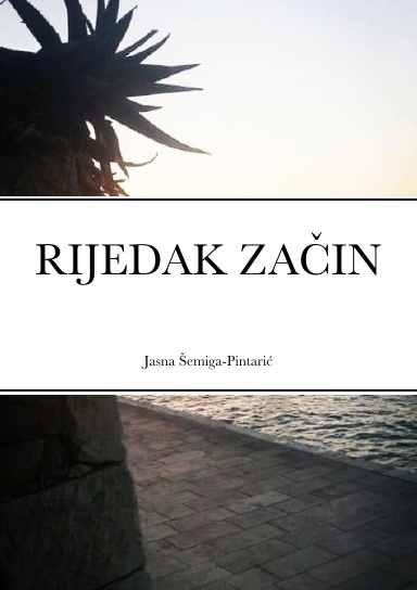 RIJEDAK ZAČIN