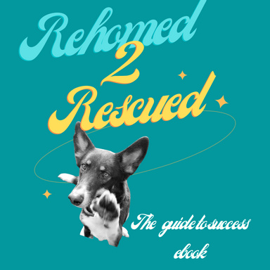 Rehomed to rescued - The guide to rehoming with trust and connection.