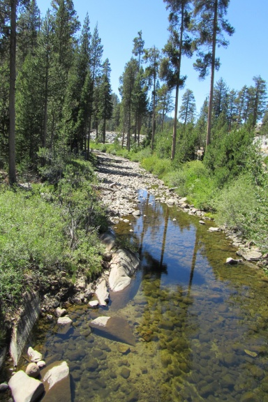 Peaceful Brook Journal