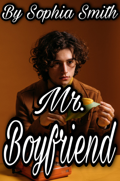 Mr. Boyfriend