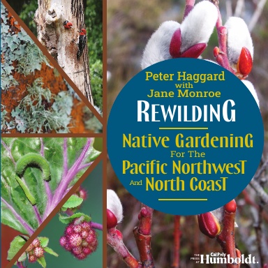Rewilding