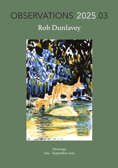 OBSERVATIONS 2025.03