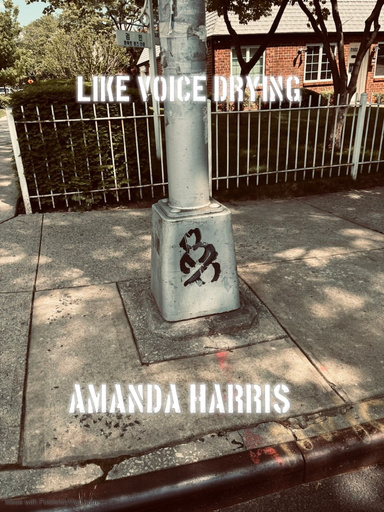 Like Voice Drying