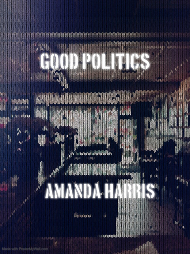 Good Politics