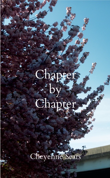 Chapter by Chapter