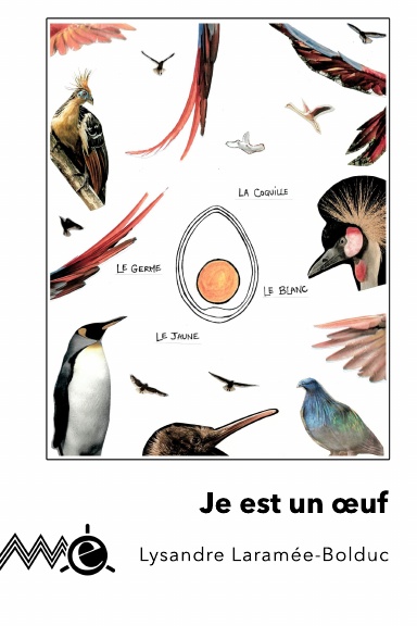 Je est un œuf