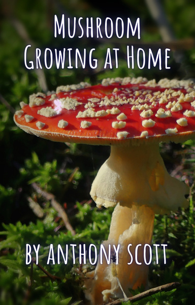 Mushroom Growing at Home